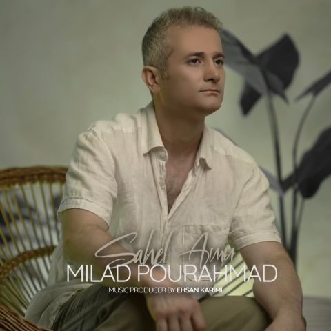 آهنگ جدید میلاد پوراحمد به نام ساحل امن